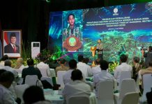 RKTN Diperbarui, Pemerintah Perkuat Arah Green Growth Kehutanan
