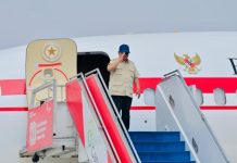 Presiden Prabowo Pimpin Panen Raya Serentak di 43 Titik, Perkuat Ketahanan Pangan Nasional