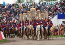 Festival Kuda Mongolia: Tradisi Kuno yang Masih Hidup Hingga Kini