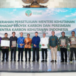 Indonesia Resmikan Forestry Carbon Hub, Pasar Karbon Kehutanan Masuki Babak Baru