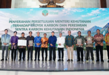 Indonesia Resmikan Forestry Carbon Hub, Pasar Karbon Kehutanan Masuki Babak Baru