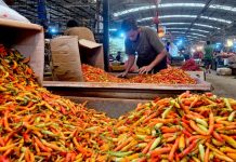 Deflasi Juli 2026 Dipicu Musim Panen, Sinyal Positif Pasokan Pangan atau Alarm Lemahnya Daya Beli? Cabai rawit