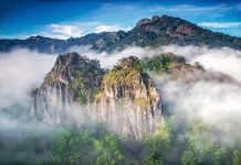 Hutan Jawa