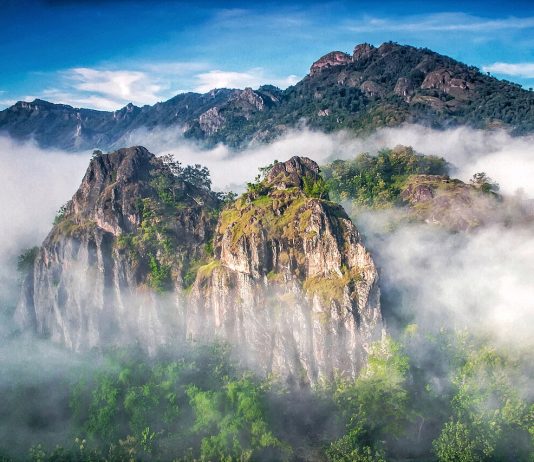 Hutan Jawa