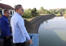 Pemerintah Dorong Perbaikan Jaringan Irigasi untuk Jaga Produktivitas Sawah Banyuwangi