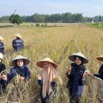 Pertanian Jadi Ladang Bisnis Generasi Muda, Alumni Untad Garap 300 Hektare