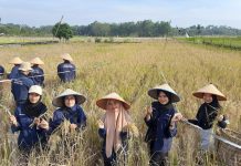 Pertanian Jadi Ladang Bisnis Generasi Muda, Alumni Untad Garap 300 Hektare
