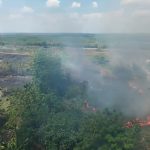 Empat Wilayah Dilanda Karhutla, 16 Hektare Lahan Terbakar Karhutla