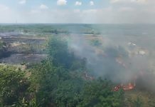 Empat Wilayah Dilanda Karhutla, 16 Hektare Lahan Terbakar Karhutla