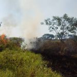 Karhutla Dominasi Bencana, Enam Provinsi Jadi Prioritas Penanganan Karhutla