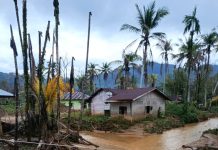 Banjir Padang Mulai Surut, Warga Kembali ke Rumah dan Bersihkan Sisa Lumpur Banjir