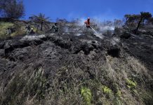 Pemerintah Buka Ruang Daerah Sesuaikan Penanganan Karhutla Karhutla