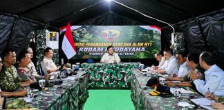Penanganan gempa bumi
