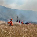 Karhutla Gunung Bromo Meluas hingga 60 Hektare, BNPB Kerahkan Helikopter Water Bombing Pemadaman