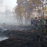 Karhutla Merebak di Tiga Daerah, Kekeringan Nduga Ancam 1.156 Keluarga Karhutla
