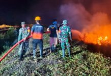 Karhutla Dominasi Bencana Nasional, BNPB Catat Kebakaran hingga Banjir di Sejumlah Daerah Pemadaman api