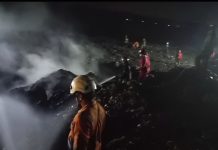 Musim Kemarau Memanas, Karhutla Dominasi di Sejumlah Daerah; BNPB Minta Warga Waspada Karhutla