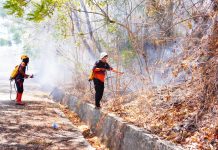 Karhutla Kembali Dominasi Bencana, Puluhan Hektare Lahan Terbakar di Sulawesi hingga Jawa Kebakaran hutan dan lahan