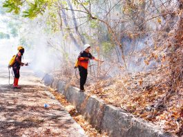 Kebakaran hutan dan lahan