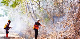 Kebakaran hutan dan lahan