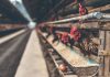 Di Balik Sepiring Ayam dan Telur ayam petelur