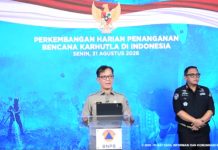 Jepang Siapkan Tiga Helikopter Bantu Indonesia Tangani Karhutla