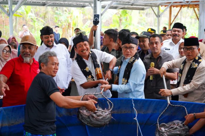 budidayaikantematik