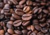 Mahalnya Single Origin dan Perjalanan Panjang Secangkir Kopi Single Origin