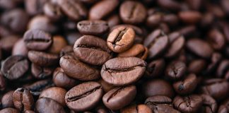 Apa Yang Membuat Cokelat Asal Ekuador Sangat Spesial?