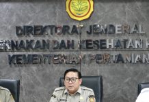 Peternak Rakyat Diperkuat, Harga Telur Ditargetkan Kembali Normal