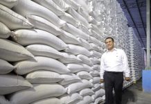 BPS Catat Kenaikan Produksi Beras dan Padi Sepanjang 2026