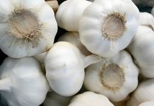 Bawang Putih