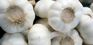Bawang Putih