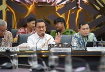 RUU Komoditas Strategis Perlu Fleksibel, Pemerintah Tekankan Keseimbangan Pasokan dan Perdagangan