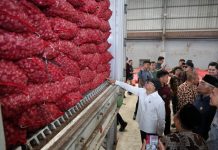 Bawang Merah Brebes Menembus Thailand, Dari Lumbung Nasional Menuju Pasar Global