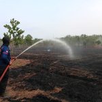 Karhutla Melanda 4 Kabupaten, Puluhan Hektare Lahan Terbakar Karhutla