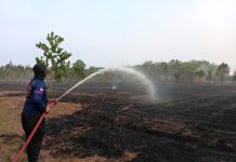 Karhutla Melanda 4 Kabupaten, Puluhan Hektare Lahan Terbakar Karhutla