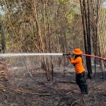 Karhutla Terjadi di Tiga Daerah, Longsor di Mandailing Natal Tewaskan 3 Warga Karhutla