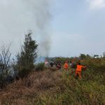 Dari Lampung hingga Sulawesi, Karhutla Bakar Ratusan Hektare Lahan Karhutla