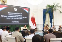Pengelolaan Lahan Gambut