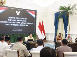 Pengelolaan Lahan Gambut