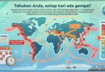 Tahukah Anda? Hampir Setiap Hari Ada Gempa