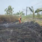 Karhutla Kembali Merebak, Enam Daerah Dilanda Kebakaran hingga 93 Hektare Lahan Terbakar Karhutla
