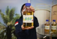 B50 Bukan Sekadar Biodiesel, tetapi Strategi Baru Ketahanan Energi dan Industrialisasi Indonesia
