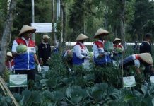 PGE Manfaatkan Panas Bumi untuk Olah Limbah Organik dan Perkuat Pertanian Berkelanjutan