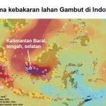 BRIN Kembangkan Singkong-APP, Inovasi Berbasis Pati Singkong untuk Tekan Kebakaran Gambut