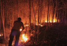 Karhutla Meluas di Raja Ampat, 357,5 Hektare Lahan Terbakar Karhutla