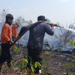 Karhutla Melanda Sejumlah Daerah, Puluhan Hektare Lahan Terbakar Karhutla