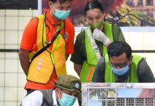 Indonesia Pulangkan Orangutan Sumatera Korban Perdagangan Ilegal dari India