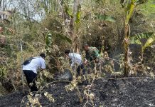 Karhutla Meluas di Sejumlah Daerah, 14 Lokasi Terbakar hingga 8 Oktober Karhutla
